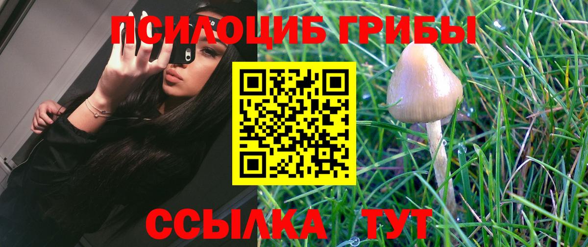 Псилоцибиновые грибы GOLDEN TEACHER  Вход с VPN  Барабинск 
